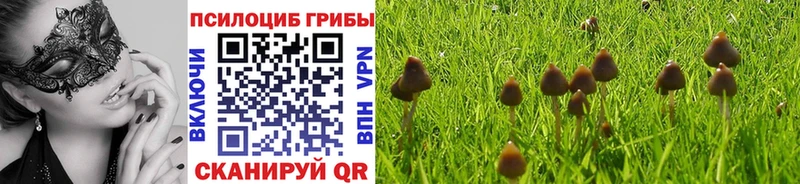 Псилоцибиновые грибы MAGIC MUSHROOMS  купить закладку  Дудинка 